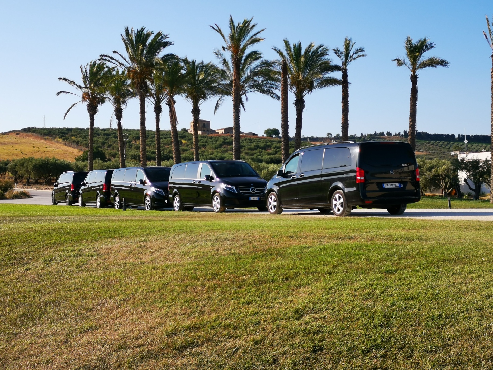 Our Mercedes fleet · among Sicilian palms