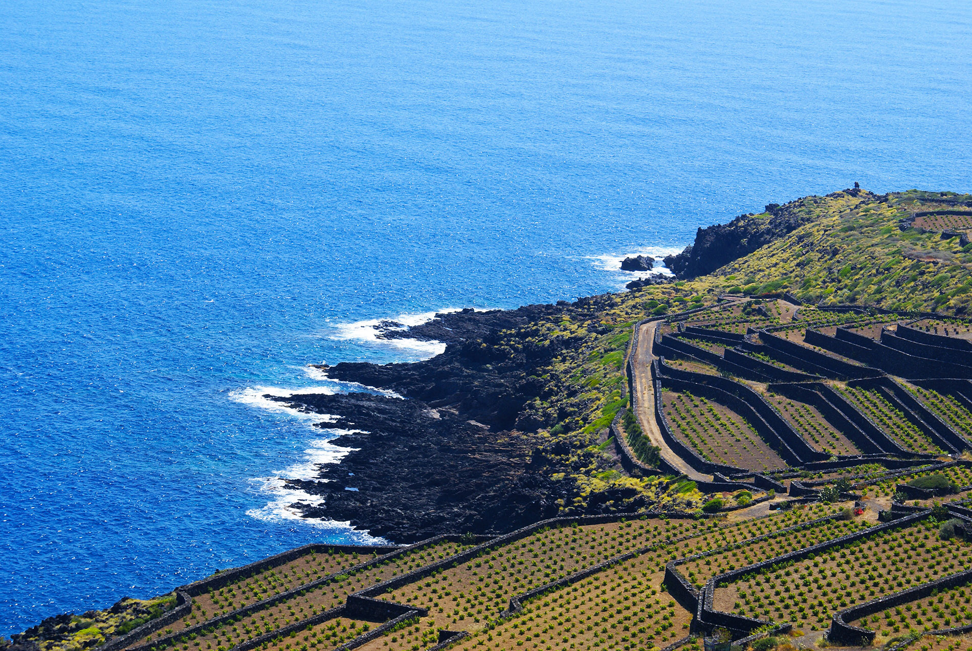 Pantelleria — Vineyards above the sea