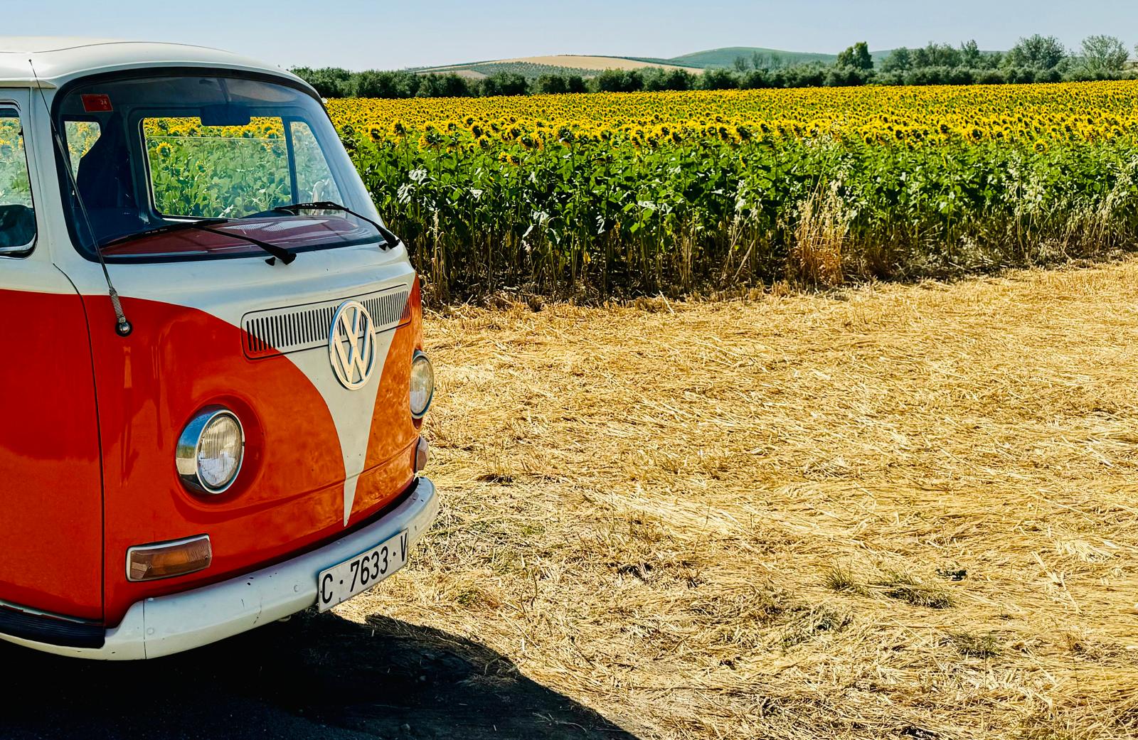 Vintage VW van parked beside a Sicilian sunflower field in summer